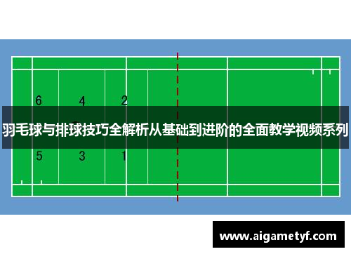 羽毛球与排球技巧全解析从基础到进阶的全面教学视频系列